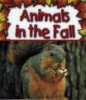 Animals_in_the_fall