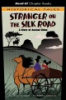 Stranger_on_the_silk_road