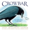 Crowbar__the_smartest_bird_in_the_world