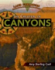 The_creation_of_canyons