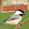 A_bird_watcher_s_guide_to_chickadees