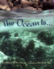 The_ocean_is