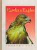 Hawks___eagles