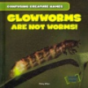 Glowworms_are_not_worms_