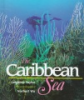 The_Caribbean_sea