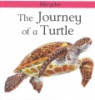 The_journey_of_a_turtle