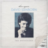 Then_Again__The_David_Sanborn_Anthology