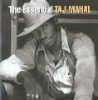 The_essential_Taj_Mahal