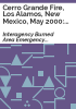 Cerro_Grande_fire__Los_Alamos__New_Mexico__May_2000