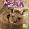 Baby_animals_in_pouches