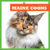 Maine_Coons