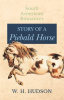Story_of_a_Piebald_Horse