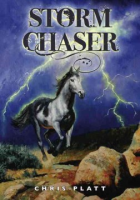 Storm_Chaser