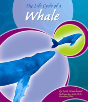 The_life_cycle_of_a_whale