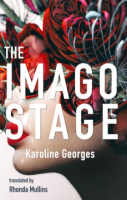 The_imago_stage