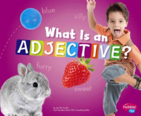 What_is_an_adjective_