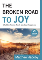 The_Broken_Road_to_Joy