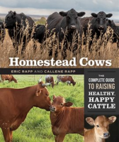 Homestead_Cows