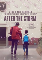 After_the_storm