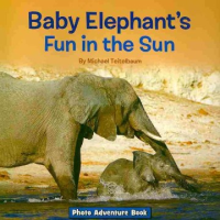 Baby_elephant_s_fun_in_the_sun