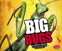 Big_bugs