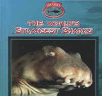 The_world_s_strangest_sharks