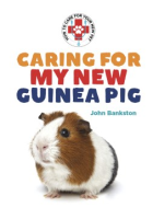 Caring_for_my_new_guinea_pig