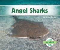 Angel_sharks