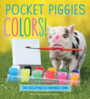 Pocket_piggies_colors_