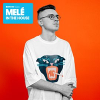 Defected_Presents_Mel___In_The_House