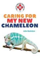 Caring_for_My_New_Chameleon