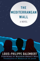 The_Mediterranean_Wall