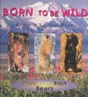 Born_to_be_wild__bears