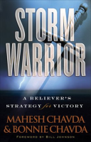 Storm_Warrior