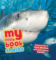 My_little_book_of_sharks