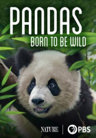 Pandas__Born_to_Be_Wild