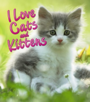 I_love_cats_and_kittens