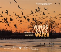 Wings_Over_Water