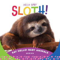 Hello_baby_sloth_