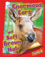 Enormous_ears_and_soft_brown_hair