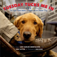 Tuesday_tucks_me_in