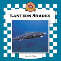 Lantern_sharks