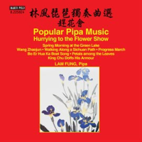 Hurrying_To_The_Flower_Show__Popular_Pipa_Music