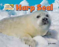 Harp_seal