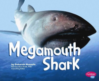 Megamouth_shark