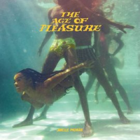 The_Age_of_Pleasure
