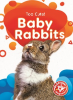 Baby_rabbits