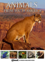 Animals_from_South_America