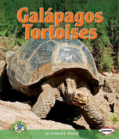 Gal__pagos_tortoises