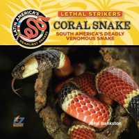 Coral_snake